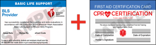 Sample American Heart Association AHA BLS CPR Card Certificaiton and First Aid Certification Card from CPR Certification Austin
