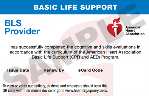 Sample American Heart Association AHA BLS CPR Card Certification from CPR Certification Austin