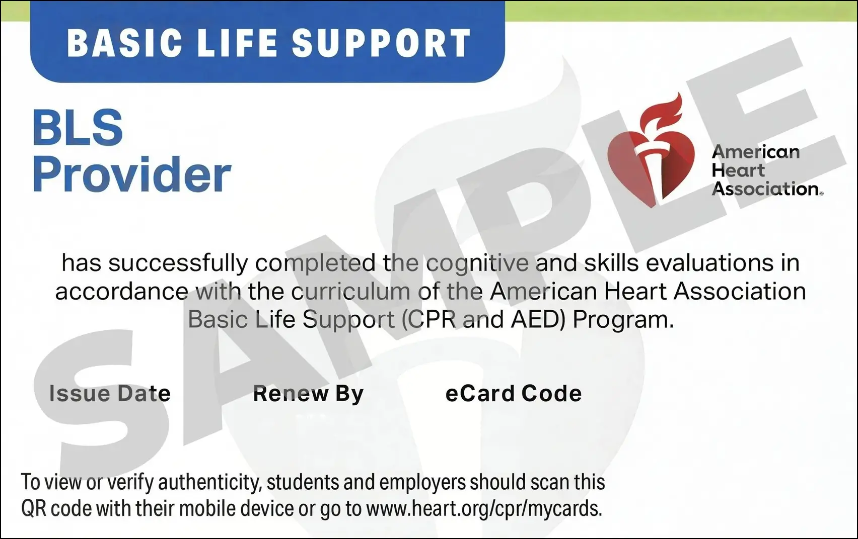 Sample American Heart Association AHA BLS CPR Card Certification from CPR Certification Austin